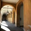 University of Pavia