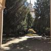 University of Pavia