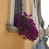 Pavia, Italy