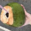 Food & Beverage