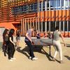 Table Tennis Tournament June 2017